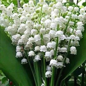 Meet your Posher, Yuliya